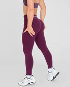 Evolve sömlösa leggings